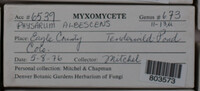 Image Associated With the Occurence